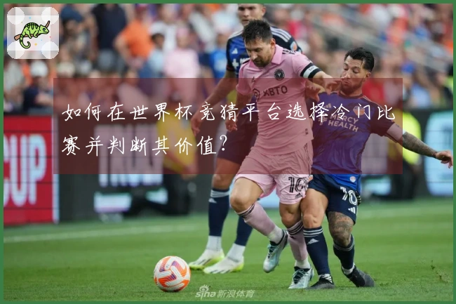 如何在世界杯竞猜平台选择冷门比赛并判断其价值？