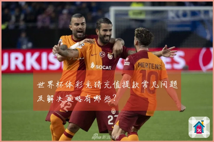 世界杯体彩竞猜充值提款常见问题及解决策略有哪些？