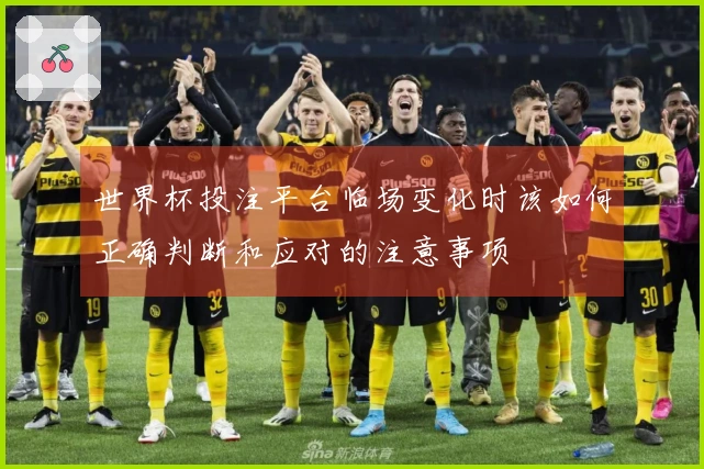 世界杯投注平台临场变化时该如何正确判断和应对的注意事项