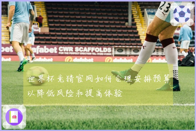 世界杯竞猜官网如何合理安排预算以降低风险和提高体验