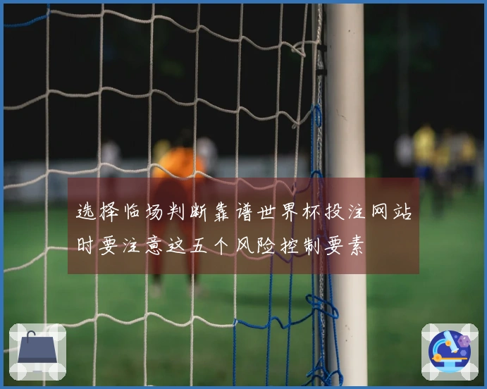 选择临场判断靠谱世界杯投注网站时要注意这五个风险控制要素